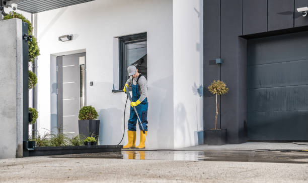 Best Sidewalk and Walkway Cleaning  in West Canton, NC